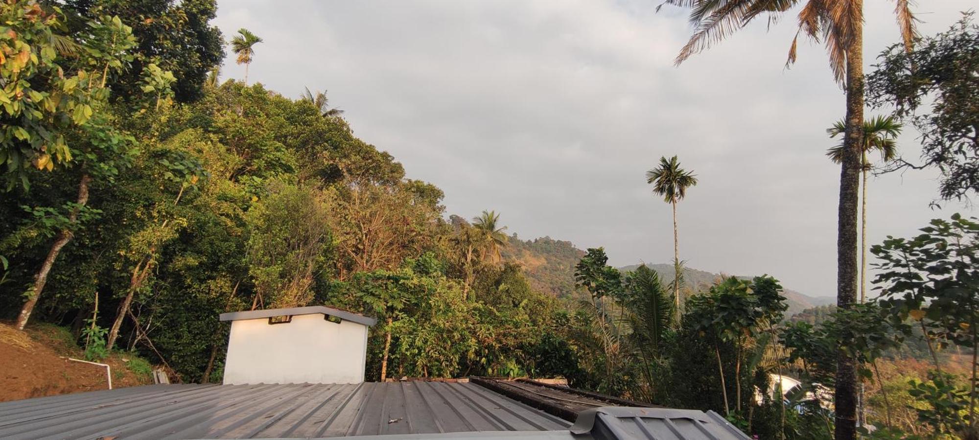 Koonamparayil Home Stay Munnar Anaviratty-Family Only Buitenkant foto