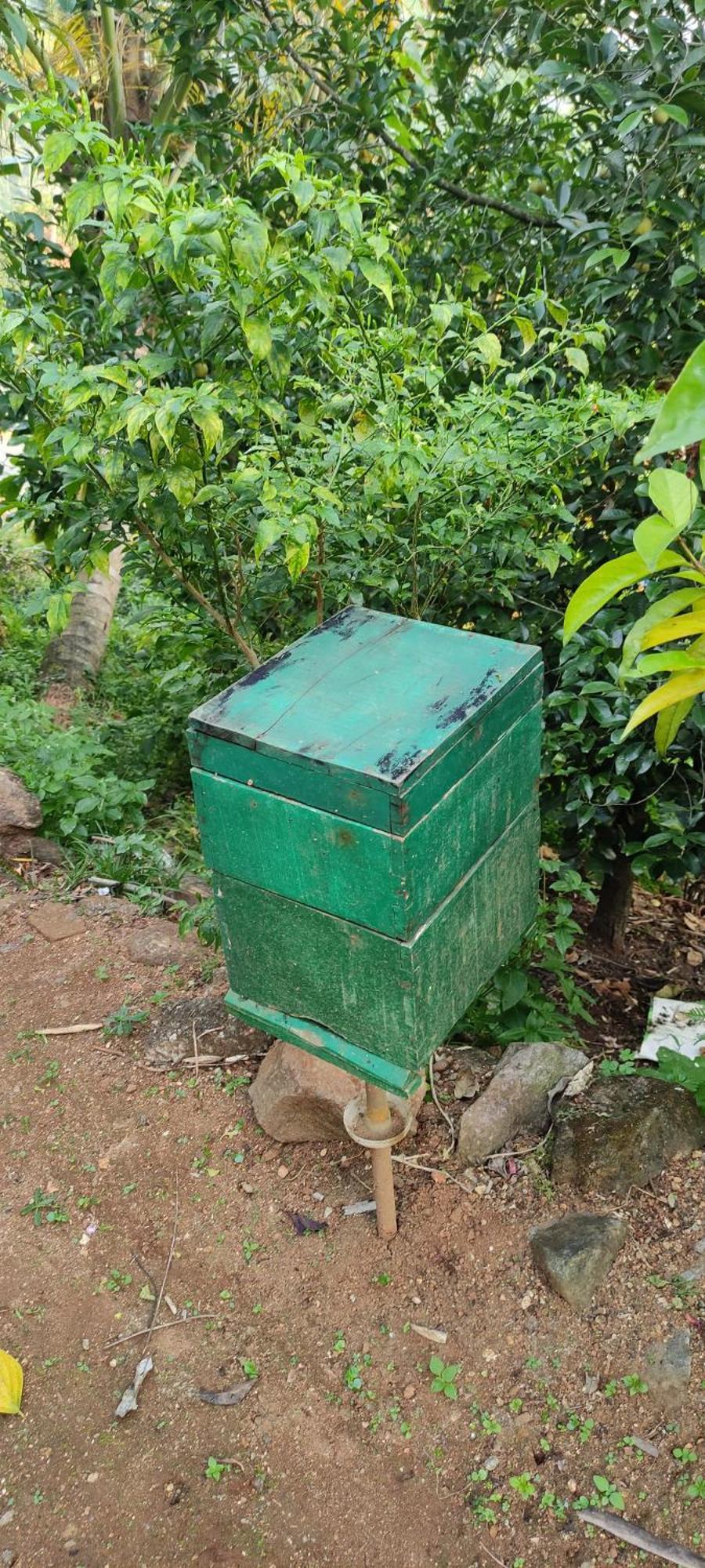 Koonamparayil Home Stay Munnar Anaviratty-Family Only Buitenkant foto