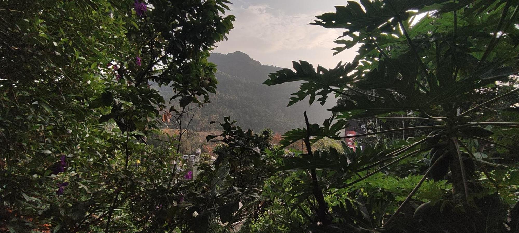 Koonamparayil Home Stay Munnar Anaviratty-Family Only Buitenkant foto
