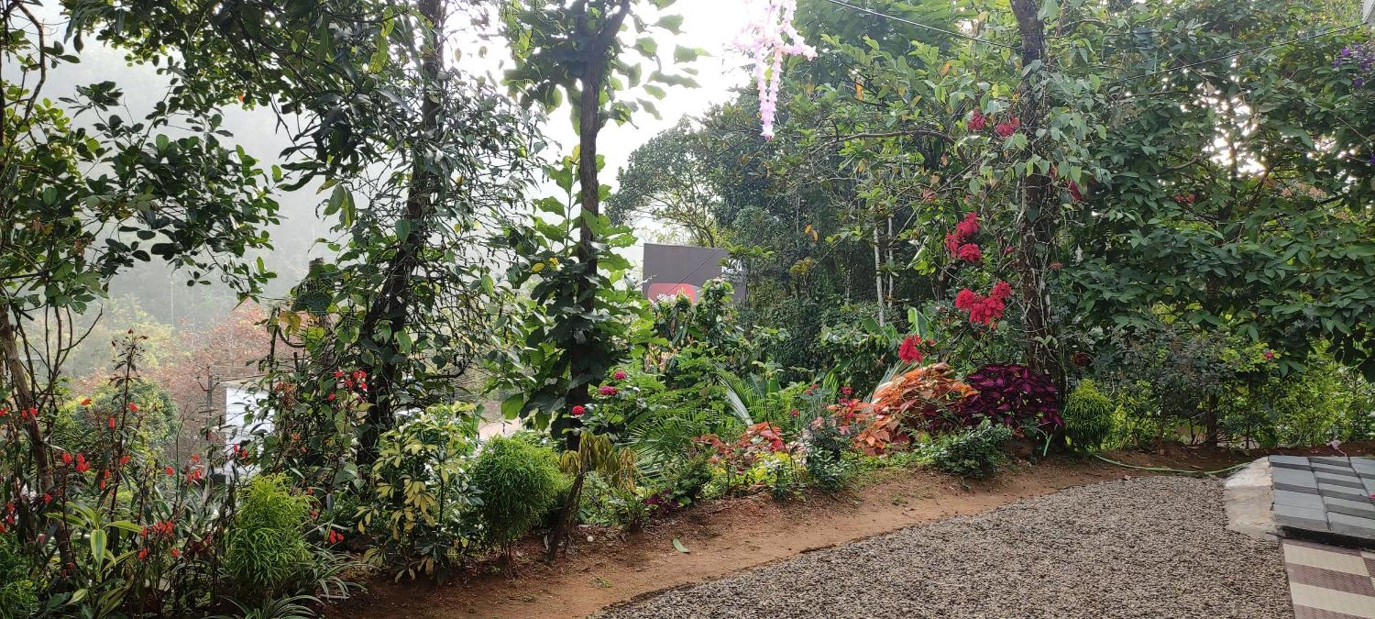Koonamparayil Home Stay Munnar Anaviratty-Family Only Buitenkant foto