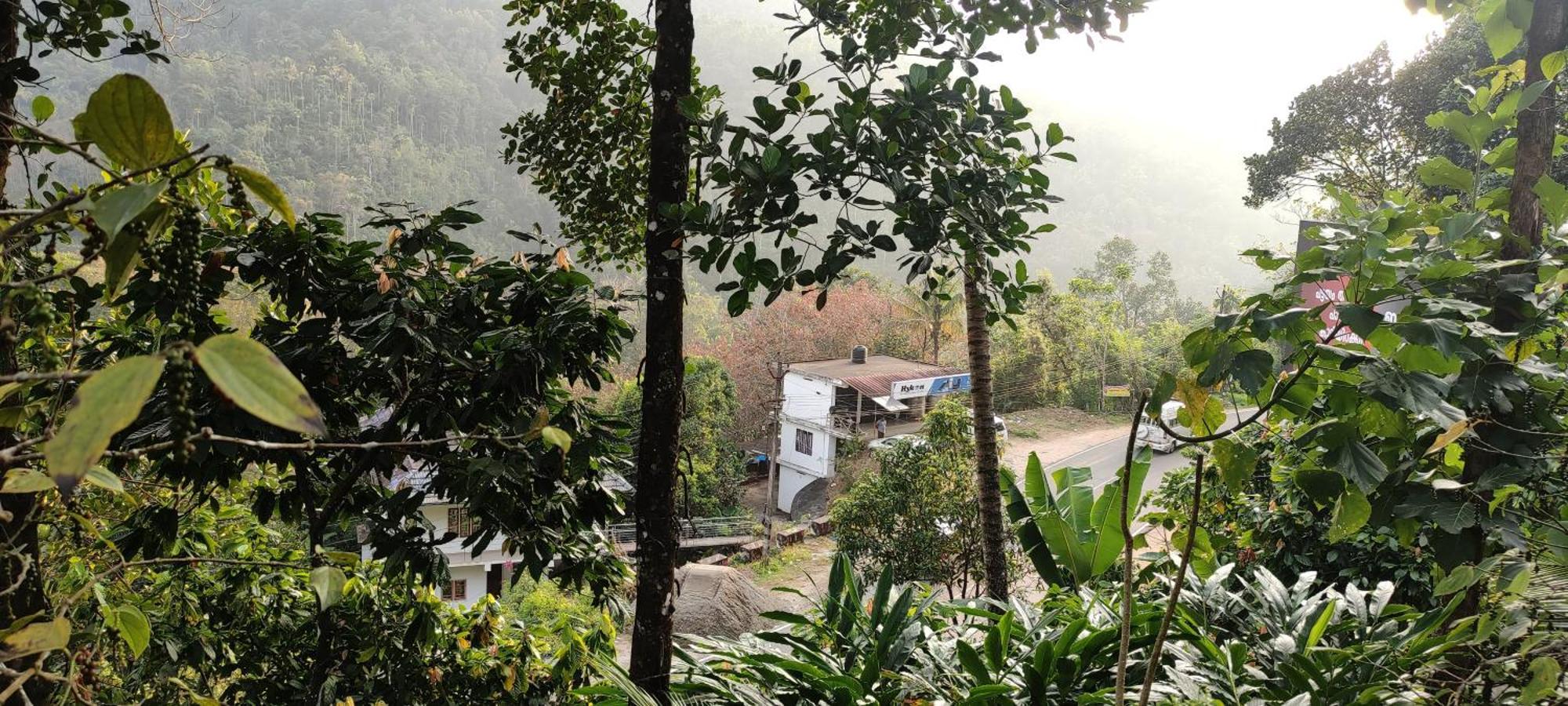 Koonamparayil Home Stay Munnar Anaviratty-Family Only Buitenkant foto